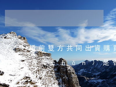 婚前雙方共同出資購買登記于一人名下的房產(chǎn)是否屬于共同財(cái)產(chǎn)？